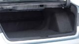 trunk