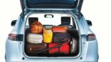Exceptional-Spacious-trunk